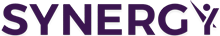 Home 19 Synergy