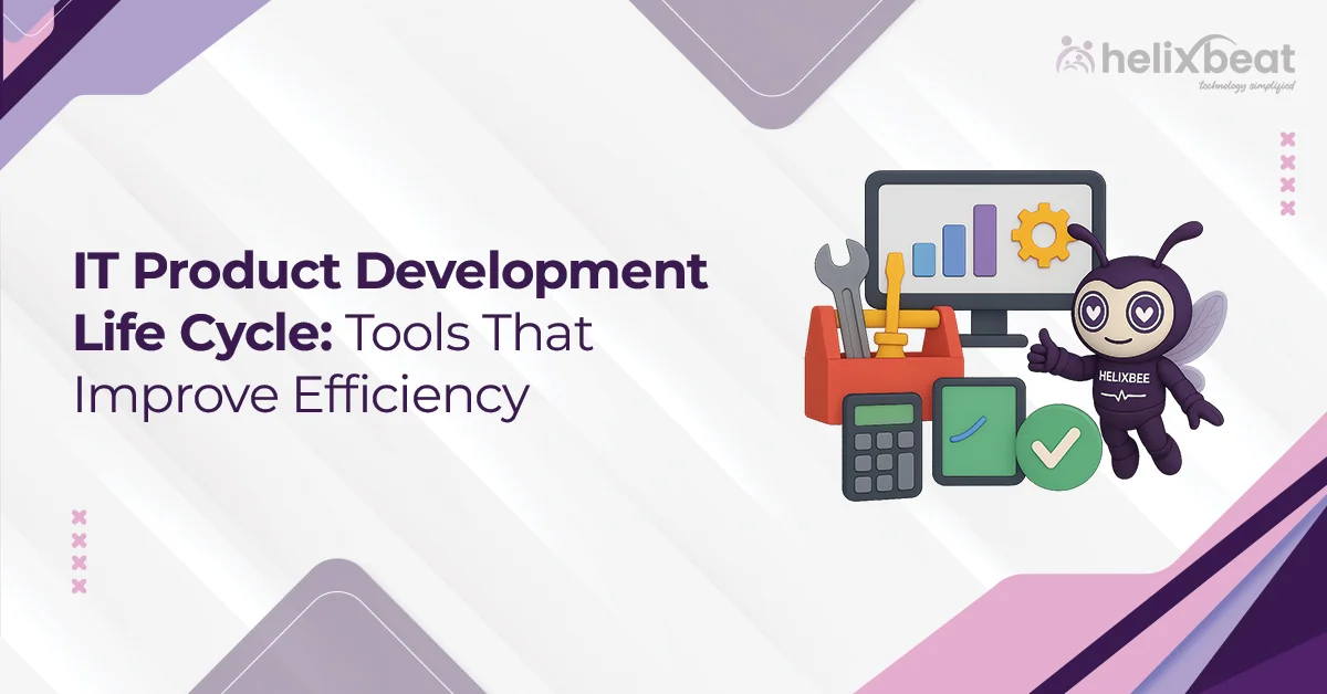 it product development life cycle
