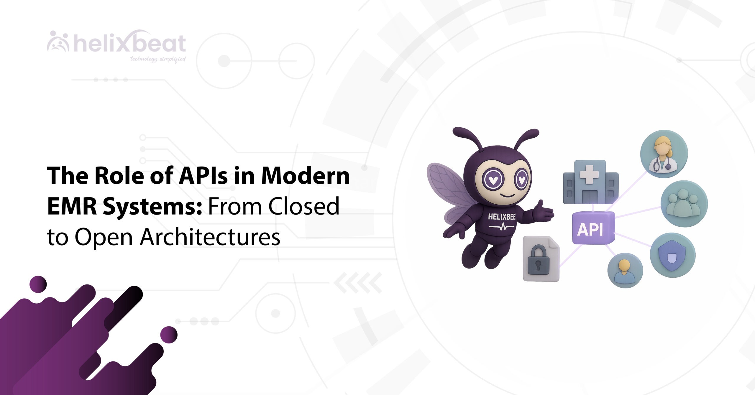The Role of APIs in Modern EMR Systems From Closed to Open Architectures