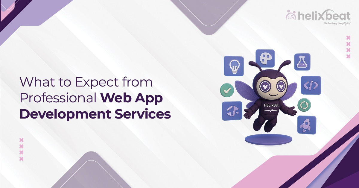 What to Expect from Professional Web App Development Services