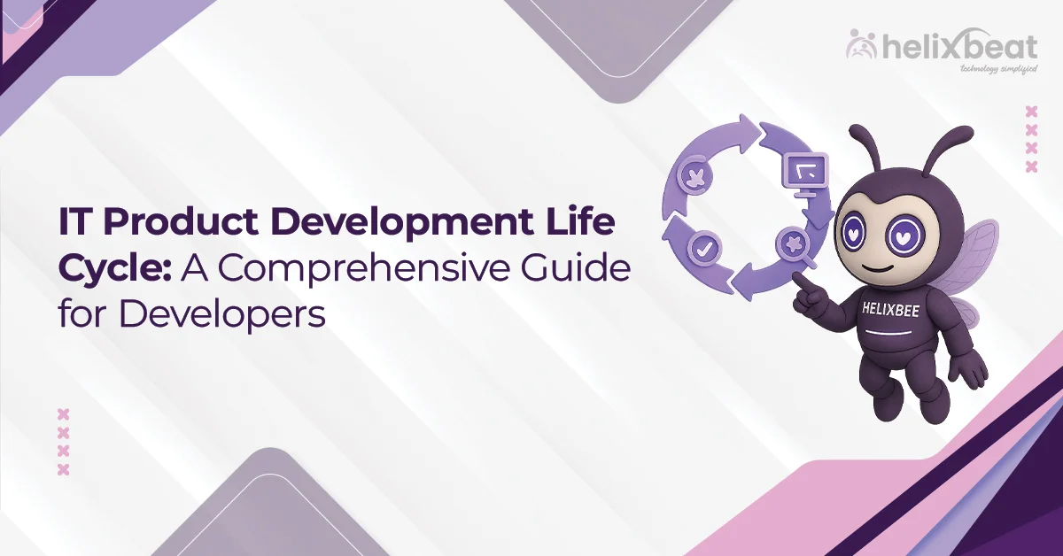 it product development life cycle