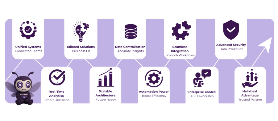 Custom enterprise software 