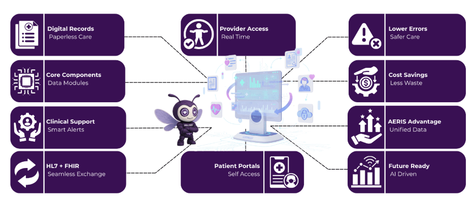 Electronic Health Record Systems