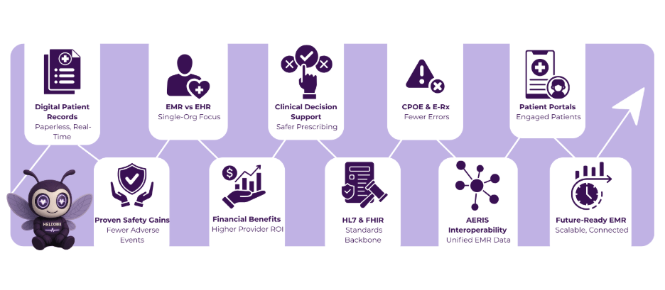 electronic medical record systems