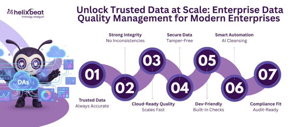 Enterprise Data Quality Management