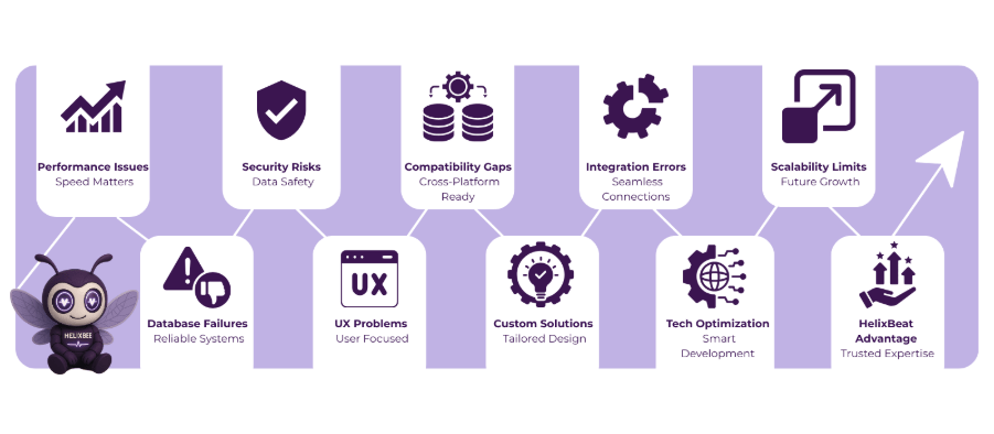 custom development services