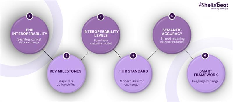 types of ehr systems