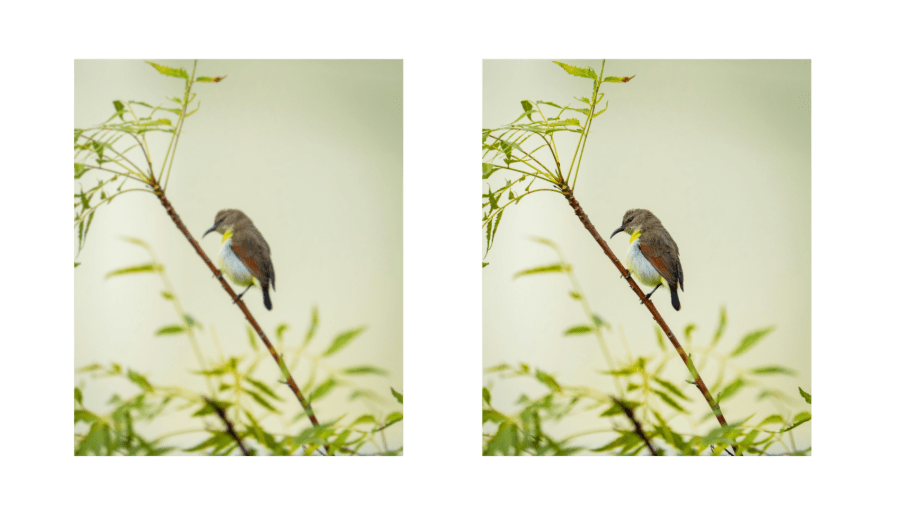 enhance image nano banana  ai generated