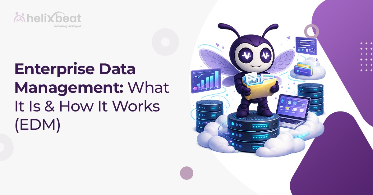 enterprise data management