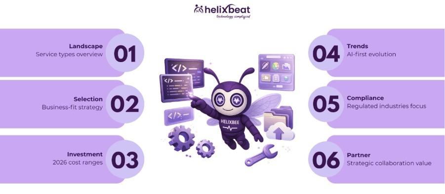 software development services