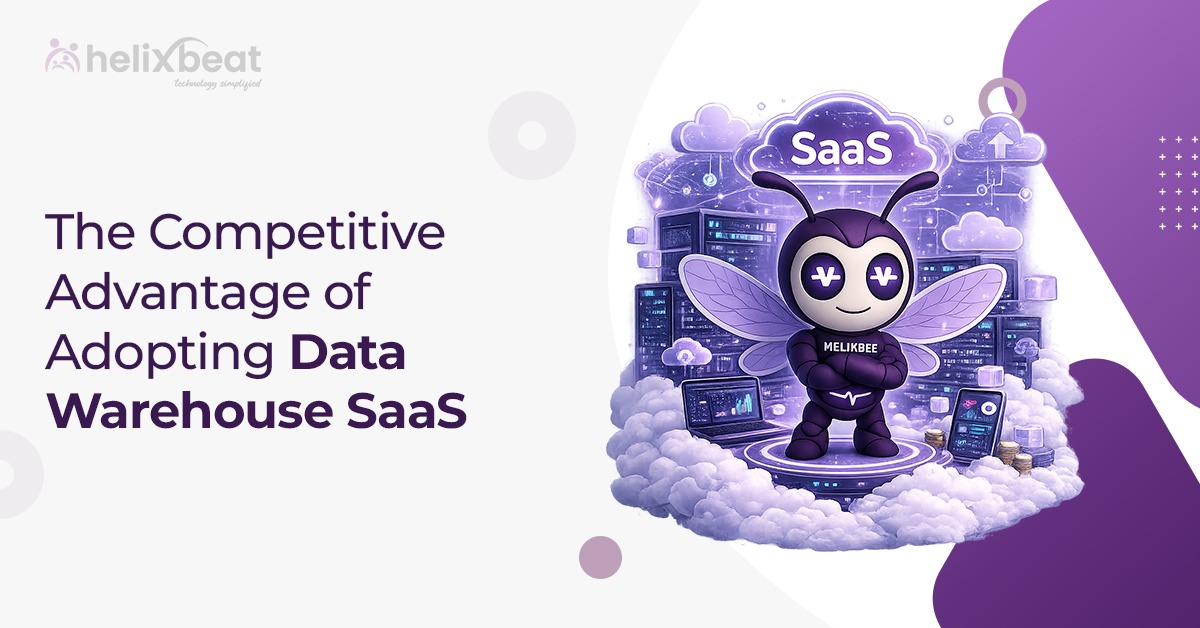 data warehouse saas