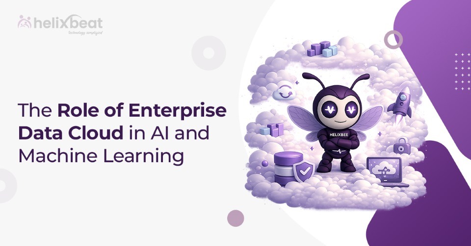 enterprise data cloud