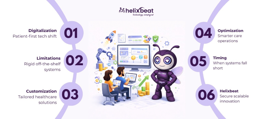 custom software development agency