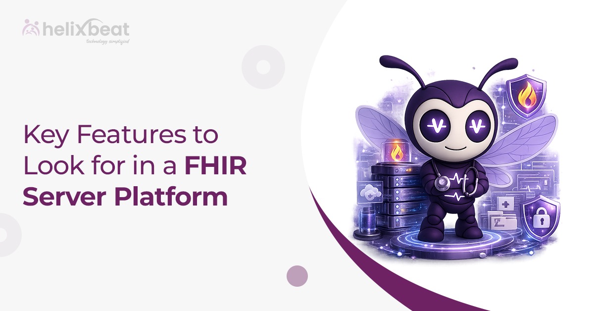 FHIR Server Platform
