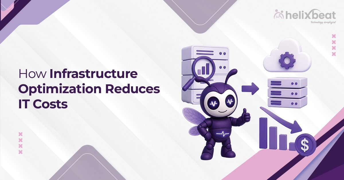 How Infrastructure Optimization Reduces IT Costs